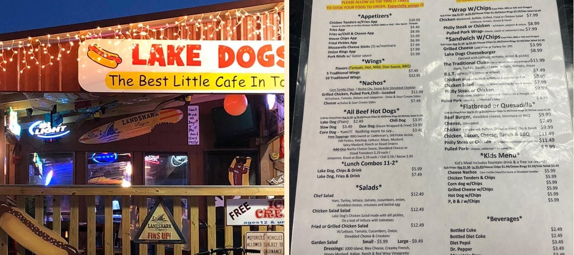 Lake Dogs @ Long Pond Lake Park